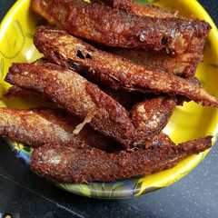 A picture of Fish Fry.