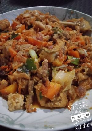 Foto resep 49. Mix Ayam Daging Sapi Wortel Tahu
