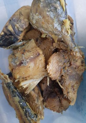 Foto resep Tongkol ungkep