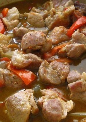 A picture of Easy Pork & Salsa Stew.