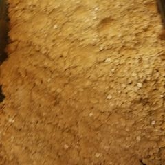A picture of Apple Crumpled Crisp.