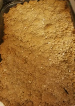 A picture of Apple Crumpled Crisp.