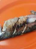 Kembung bakar sekejap