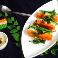 A picture of Tricolor Dhokla.