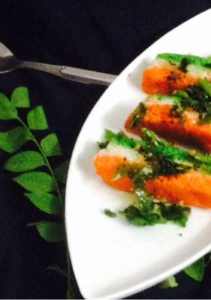A picture of Tricolor Dhokla.