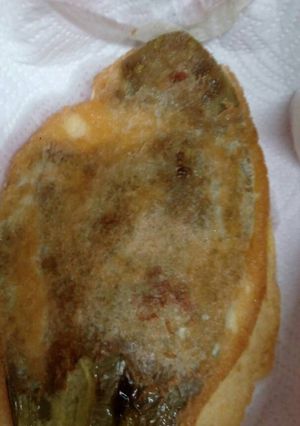 Una foto de Nopales rellenos