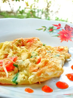 Foto resep ¹⁵ Telur Dadar anti Meleyot