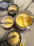 Gelato di cachi per gelatiera frezee wand