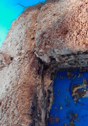 Una foto de Chocotorta