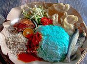 Gambar ikan budu