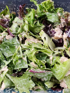 A picture of Tuna Salad.