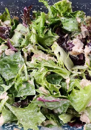 A picture of Tuna Salad.
