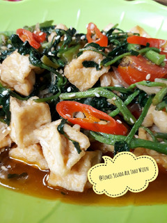 Foto resep 348. Tumis Selada Air Tahu Wijen