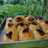 Bolen pisang coklat bandung kulit berlapis lapis