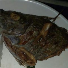 A picture of Fried fish.