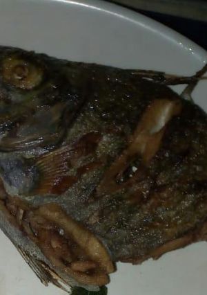 A picture of Fried fish.