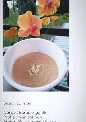 Foto resep Mpasi 7+ (Bubur Salmon)