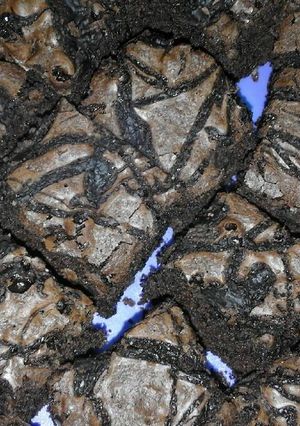Foto resep Brownies shiny n crust