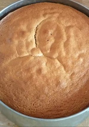 A picture of Sponge.