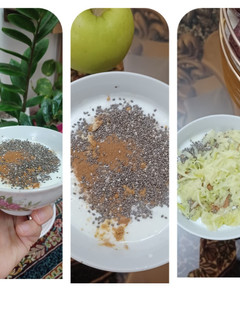 عکسی از دستور ماست رژیمی