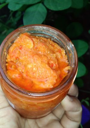 Foto resep Sambal udang rebon
