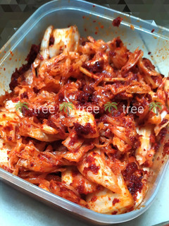 Foto resep Kimchi simple
