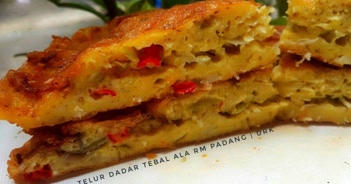 833 resep  telur  dadar ala restoran padang  enak  dan 