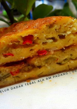 Foto resep Telur Dadar Tebal ala RM Padang