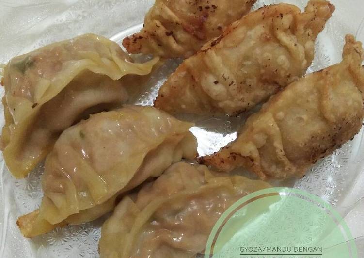 Gyoza/Mandu/Dumpling (만두; 饅頭) isi Tuna Sayur