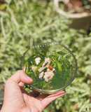 Canh rau muống nấu tôm, chả cá trôi