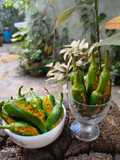 Green Chilli Pickle
