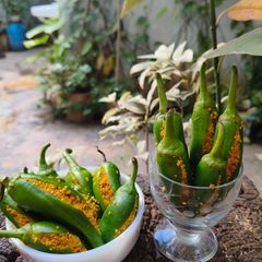 A picture of Green Chilli Pickle.