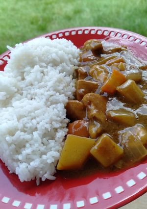 Foto resep Japanese Chicken Curry recook