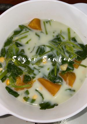 Foto resep Sayur Santan (Fiber Creme)