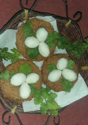 A picture of Nest kabab.