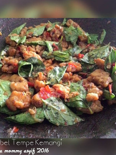 Foto resep Sambel Tempe Kemangi Nampoll