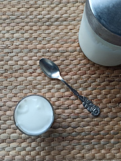 Una foto de Yogur natural casero sin yogurtera. Fermentación en termo