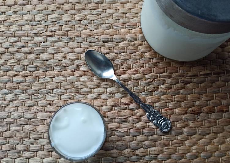 Yogur natural casero sin yogurtera. Fermentación en termo