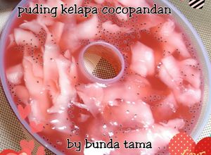 Foto resep Puding kelapa cocopandan