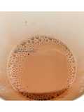 Teh Soya (panas)