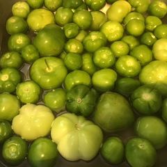 A picture of California Farm Green Tomato Salsa Verde.