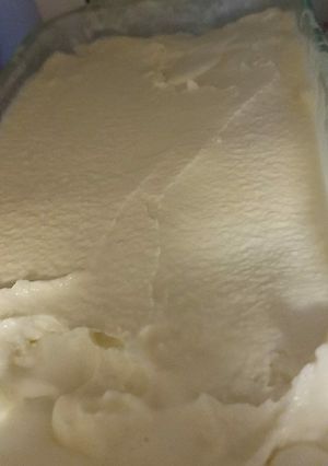 A picture of Homemade Vanilla Icecream.