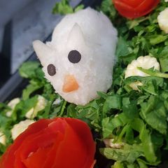 A picture of Raddish rabbit.