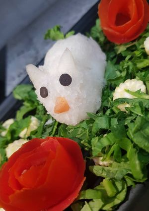 A picture of Raddish rabbit.