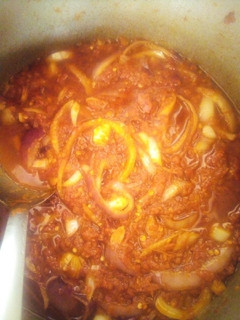 A picture of Onion sauce.