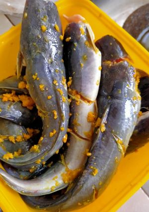 Foto resep Lele goreng