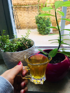 عکسی از دستور دمنوش چای سبز و به لیمو