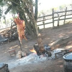 A picture of African braai lamb.