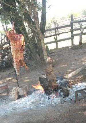 A picture of African braai lamb.