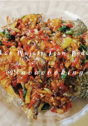 Foto resep Ikan Mujair Asam Manis Pedas